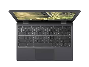 Amazon.com: ASUS Notebook C204EE-YS01-GR 11.6 INCH N4000 4GB